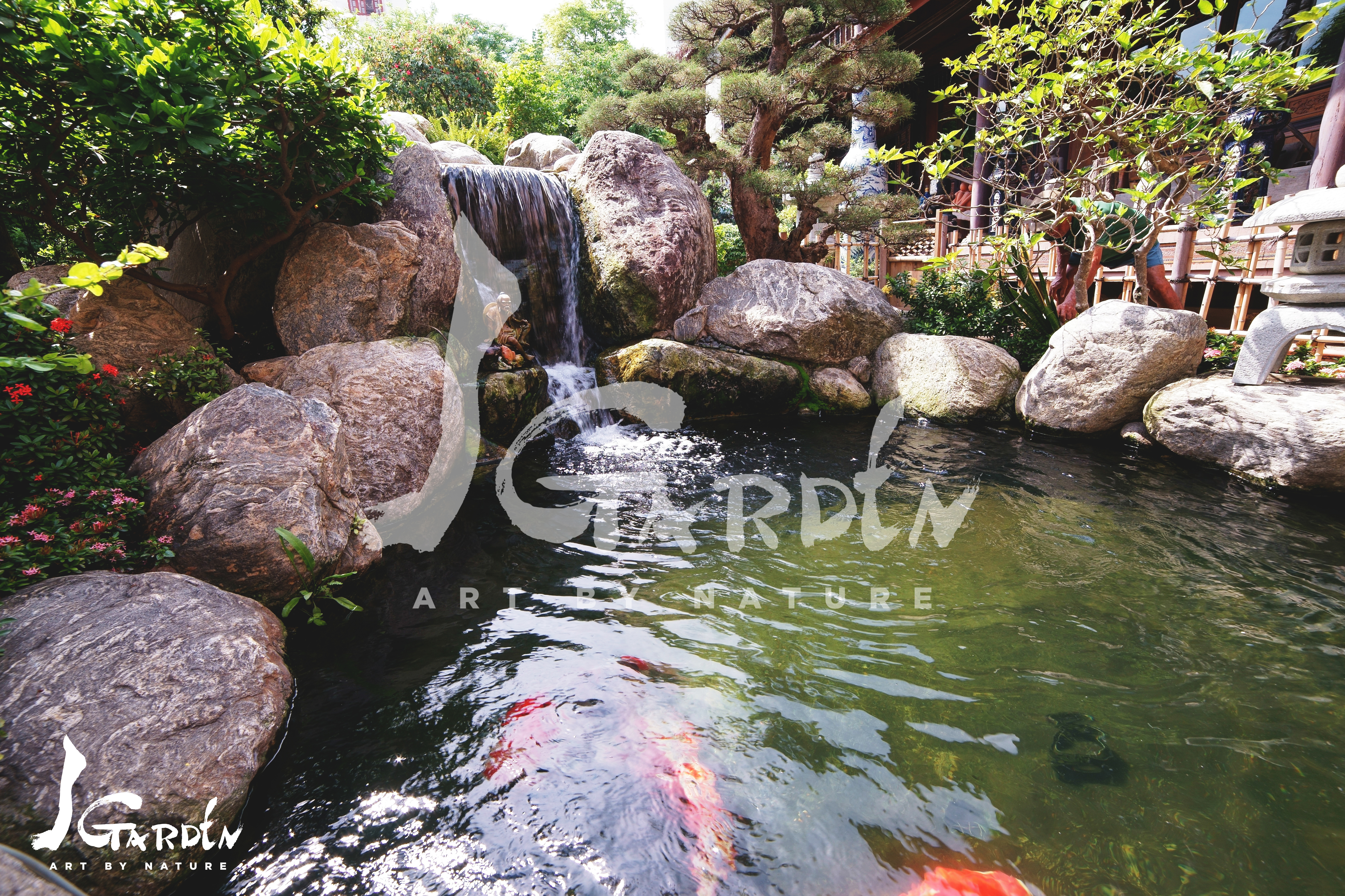 vườn Nhật Bản hồ cá Koi J Garden