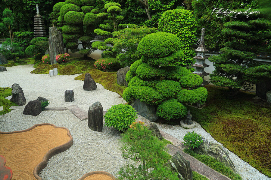 Sân vườn tại Nhật Bản (Hình Sưu Tầm)